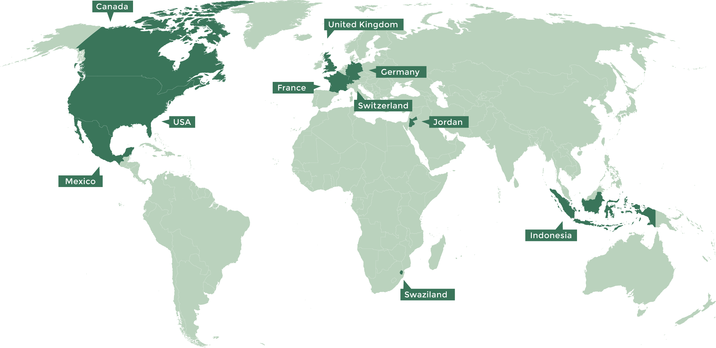 Our portfolio